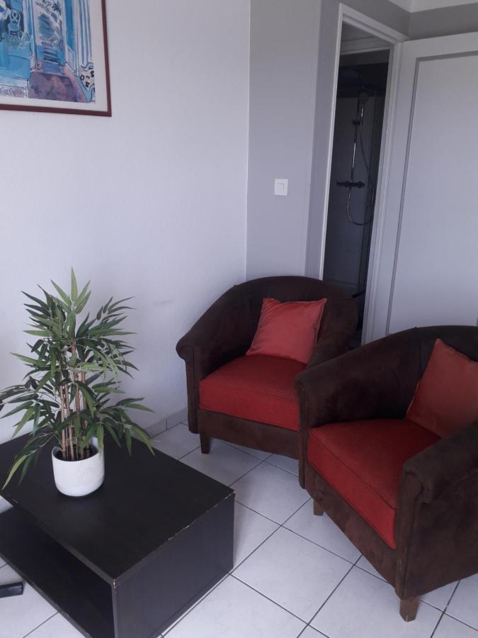 Residence D'Anjou - Grand Studio Avec Balcon Et Parking Privatif แปร์ปินญอง ภายนอก รูปภาพ