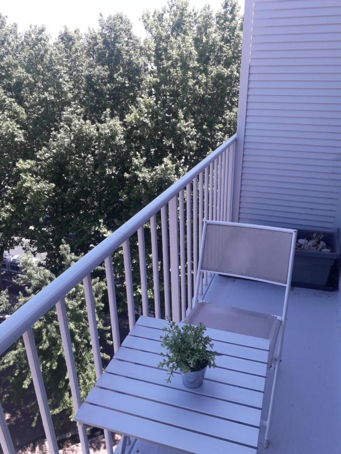 Residence D'Anjou - Grand Studio Avec Balcon Et Parking Privatif แปร์ปินญอง ภายนอก รูปภาพ